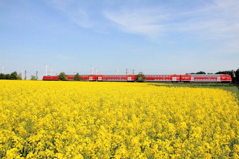 Bahnfahrt durch blühenden Raps | © Deutsche Bahn AG/Wolfgang Klee